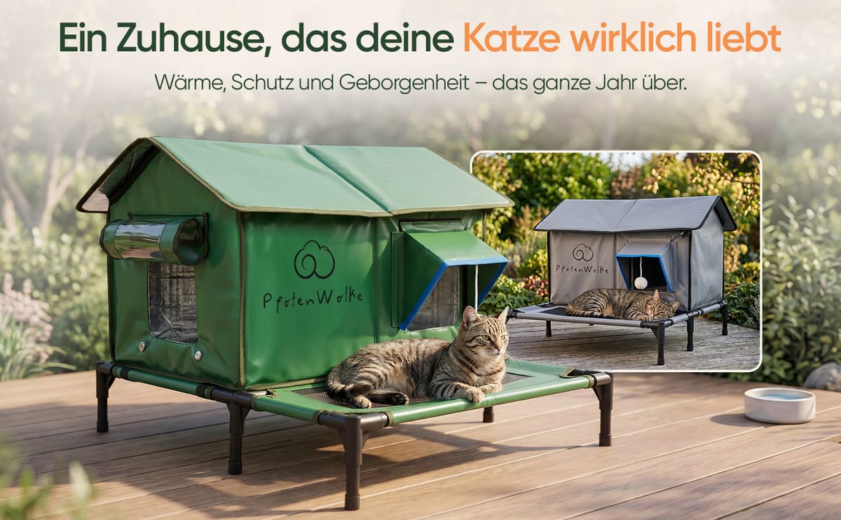 PfotenWolke Outdoor Katzenhaus in Grün und Grau im Garten, Katze liegt auf der Veranda