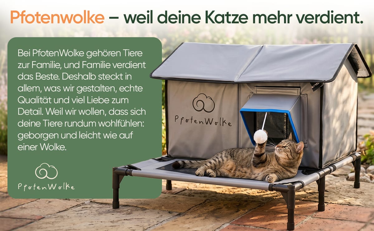 PfotenWolke – weil deine Katze mehr verdient: Katze spielt auf der Veranda des grauen Katzenhauses