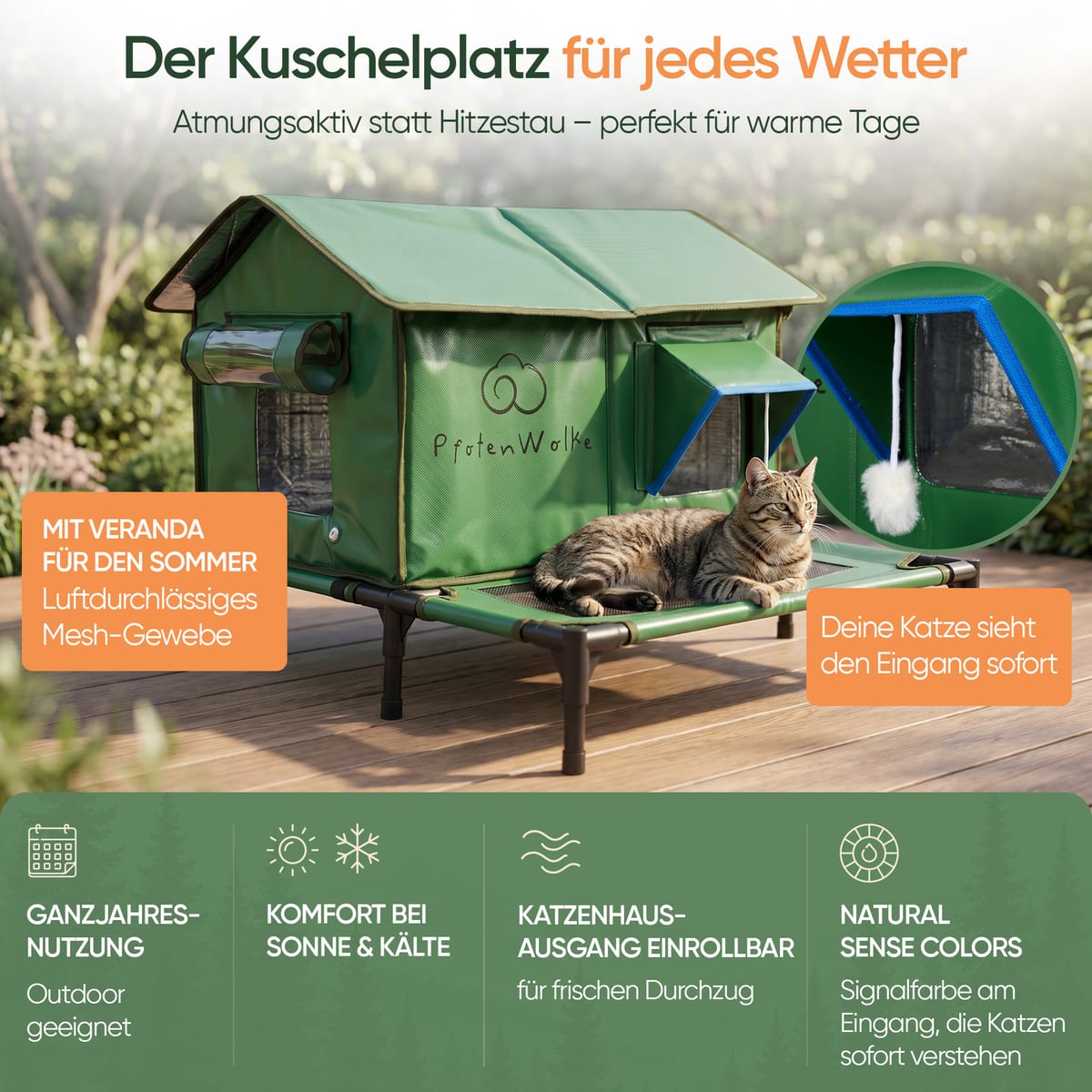 Katze auf der Mesh-Veranda vor dem Eingang mit blauer Signalfarbe